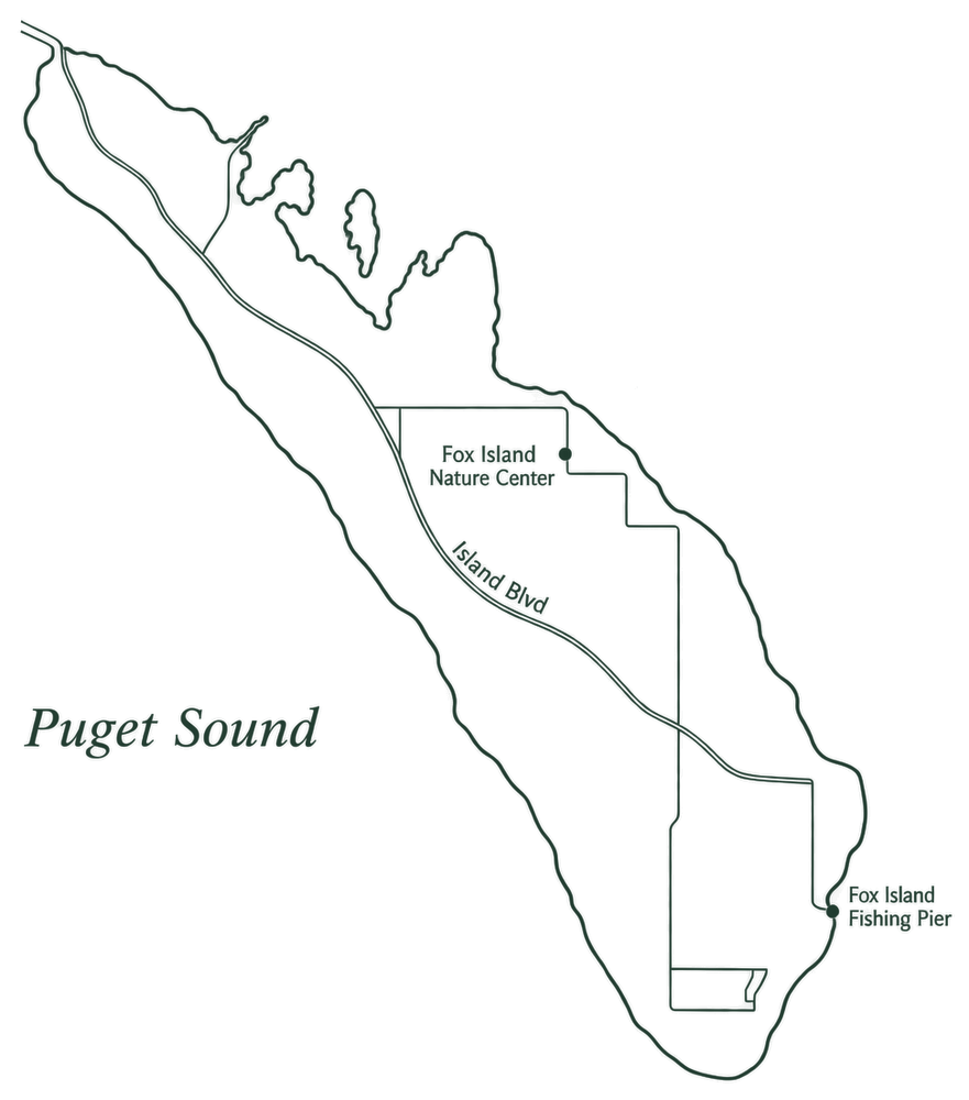 Fox Island street map